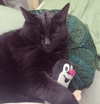 Фулюганьё какое-то...