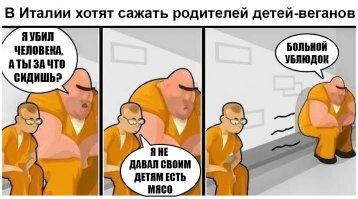 Кот не должен есть рыбу. Так решила соседка-веган
