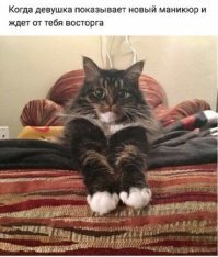 Кискоюмор