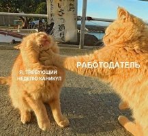 "Объявляю следующую неделю нерабочей": обращение Путина к нации