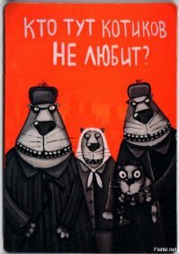 Кот не должен есть рыбу. Так решила соседка-веган