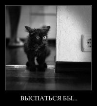 25 оригинальных способов развлечься на карантине