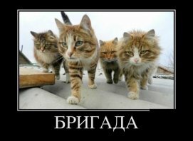 Бригада - это они.