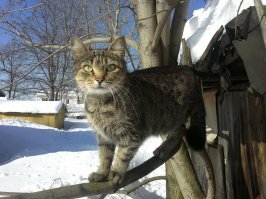 Сергиев Посад