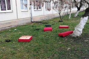 Прикольные и смешные картинки