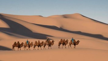 Правильно граничит. 
Только вот их разделяет  естественный  барьер из-за чего они просто исторически мало друг с другом контактируют.

И большинство китайцев живёт на берегу океана где и произошло заражение.