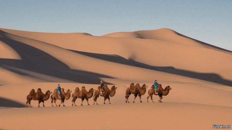 Правильно граничит. 
Только вот их разделяет  естественный  барьер из-за чего они просто исторически мало друг с другом контактируют.

И большинство китайцев живёт на берегу океана где и произошло заражение.