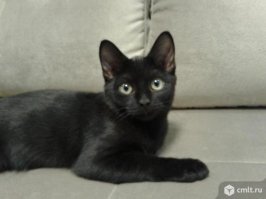 И что, он тоже жрёт полиэтиленовые пакеты...