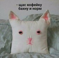 Смешные картинки из соц сетей