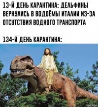 Прикольные и смешные картинки