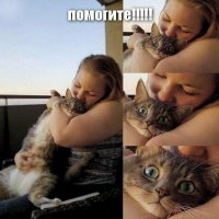 Попытка поцеловать кошку