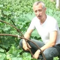 Некогда объяснять... срочно суй билет себе в ж...