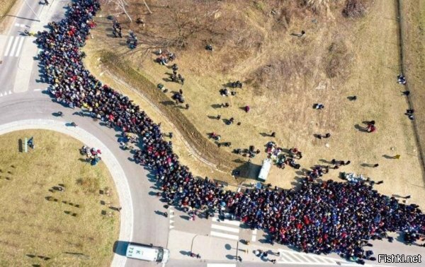 тю..он сколько земли...если компактно и в глубь - все в одну ямку поместятся...