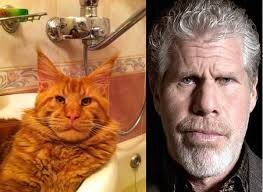 Смешные картинки