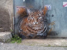 Необычная Россия