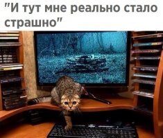 Прикольные и смешные картинки