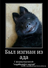 Картинки юмористические