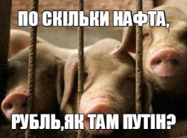 мля.. его Путин беспокоит..
что творится в своей незалежной - побоку..
иди заборы в жовто-блакитный крась, авось полегчает
