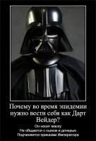 Реакция соцсетей на объявленную в России неделю выходных