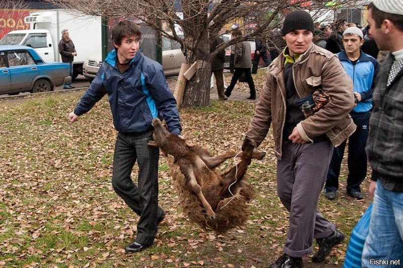 Да не сильно за полвека что и поменялось.
Скотина на улицах Москвы присутствует до сих пор.