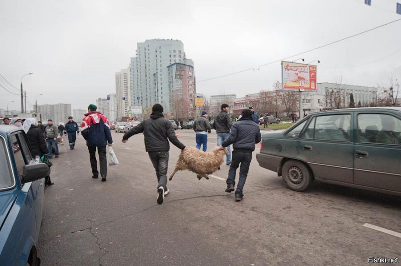 Да не сильно за полвека что и поменялось.
Скотина на улицах Москвы присутствует до сих пор.