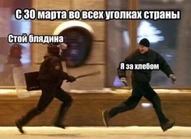Яндекс начал отслеживать уровень самоизоляции жителей России
