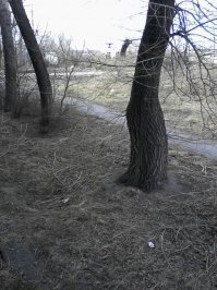 Карантин на нашей улице. Нагнали техники , что то рыть и зарывать собралсь.боюсь даже вообразить