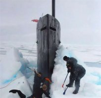 Смешные картинки