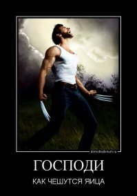 Пес-экстремал показал странный способ спуска с лестницы