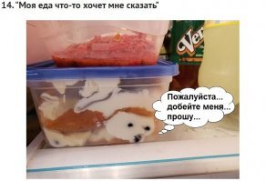 Зрительный обман, или Парейдолия: 20 иллюзий, созданных нашим воображением