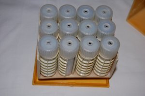 Люди делятся снимками необычных находок и просят помочь с разгадкой