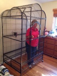 20 черных-черных мемов, в черные-черные времена