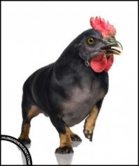 Что-то типа такого