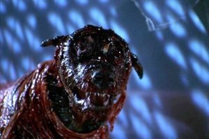 Хорошо не Т-вирус