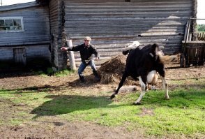 Это что за коррида с коровой, нихрена не понял?