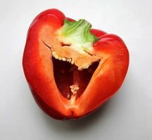 Если опустить 1 апреля, то человеческой психике присуще видеть в чём-то непонятном знакомые вещи. Или очеловечивать то, что человеком не является.