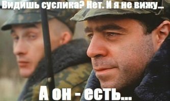 Фотограф сделал снимок ирбиса, на котором его очень сложно заметить