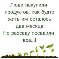 Прикольные и смешные картинки