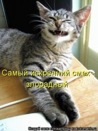 Бывают в жизни огорчения