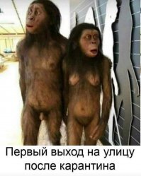 приматы выживут .