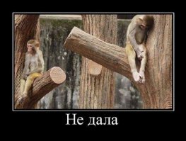 Как сделать самоизоляцию продуктивной и не сойти при этом с ума. Прямой эфир на Fishki.net