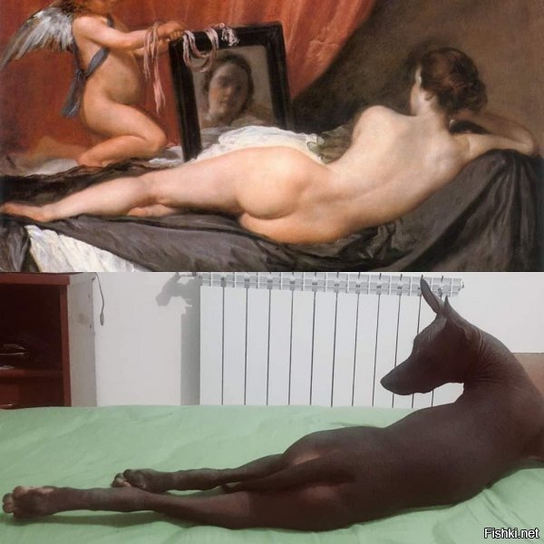 А вы, батенька, разбираетесь в искусстве, как я погляжу.)) Держите! «Венера перед зеркалом» Диего Веласкеса и его карантинная версия.