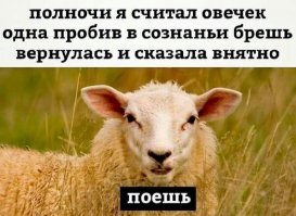 Смешные картинки