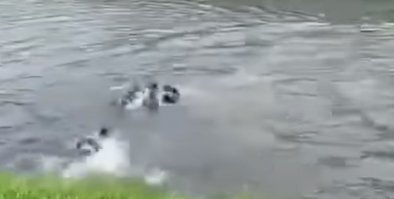 вот это качество! У меня сходка пикселей на пиксели. В итоге получился один большой пиксель %)