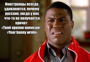 Прикольные и смешные картинки