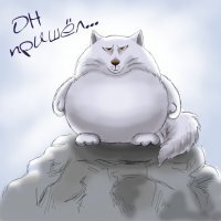 Песец и интересные факты о нем