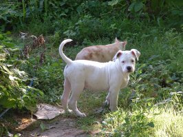 вот такой был ребенок.
а вот что стало в годик