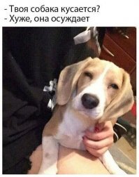 Прикольные комментарии из соцсетей