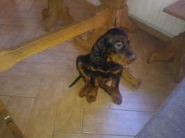 Разница между фото - шесть лет.