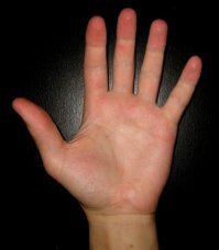 Как сделать самоизоляцию продуктивной и не сойти при этом с ума. Прямой эфир на Fishki.net